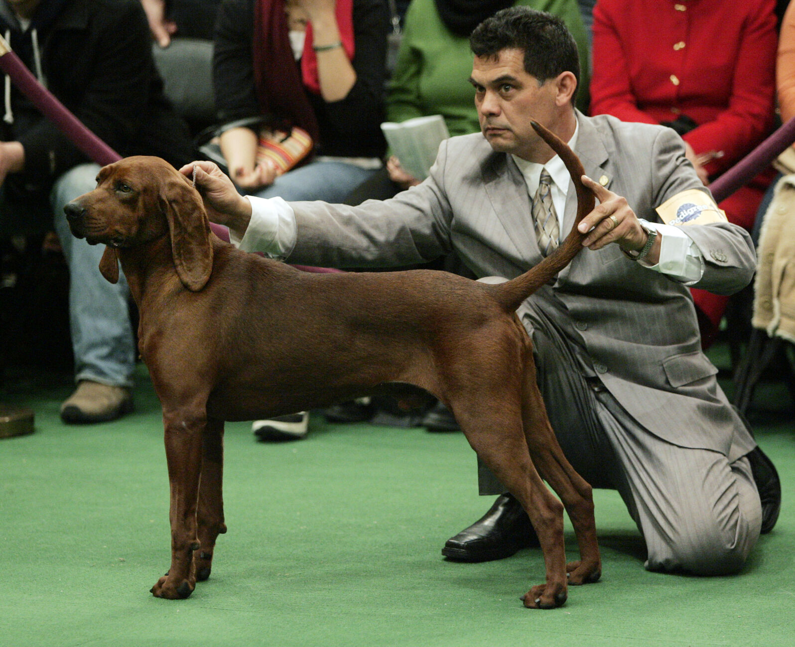 Westminster Dog Show